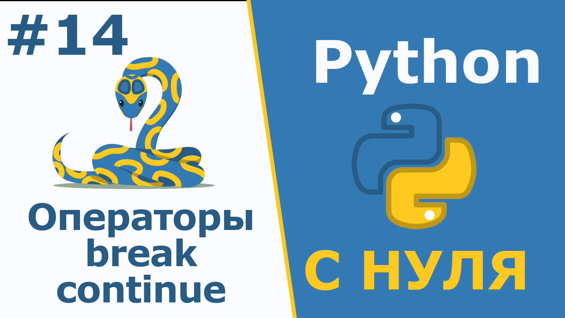 Пайтон с нуля. Питон с нуля. Python с нуля. Деление в питоне.