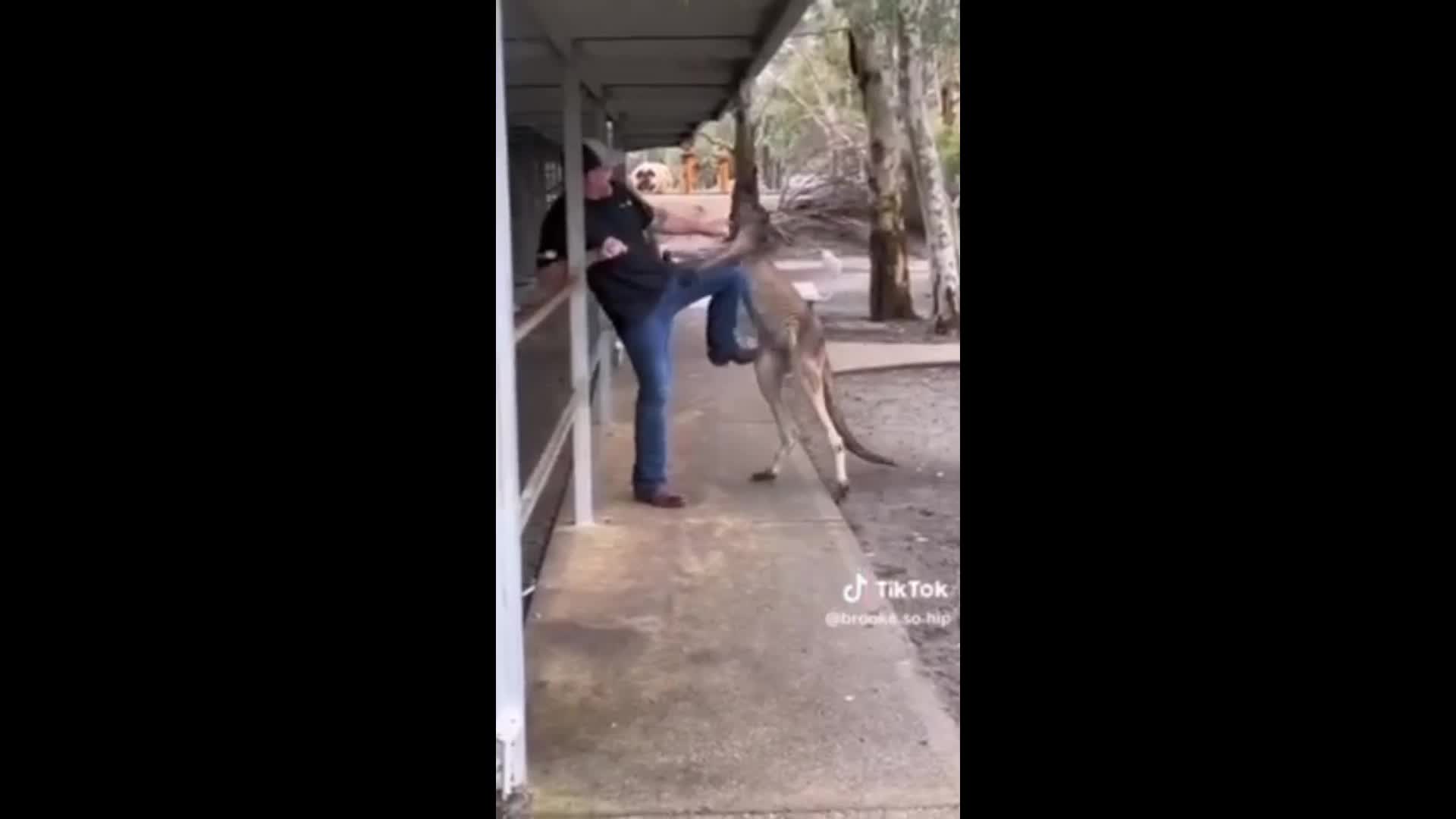 Реакция зоопарка и властей