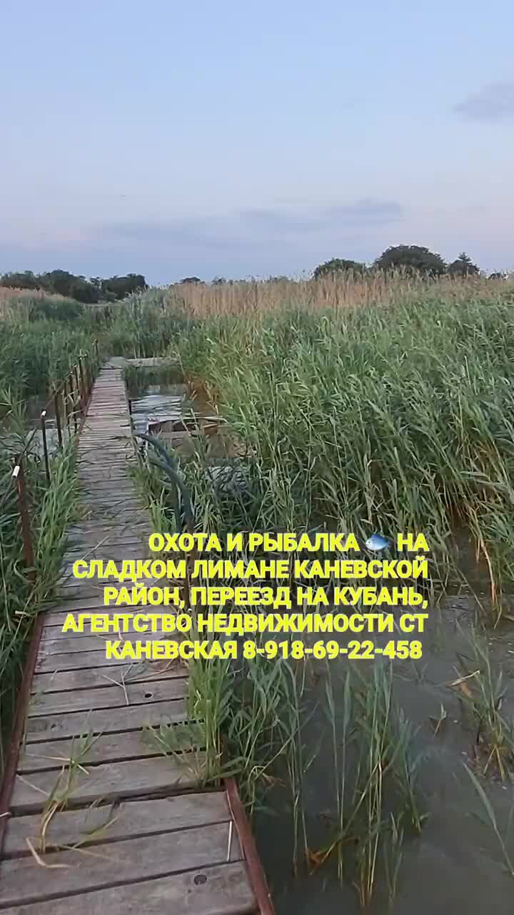 База Лотос сладкий Лиман. Лиманы Краснодарского края. Рыбалка на Тамани в июле-августе. Таманский район.