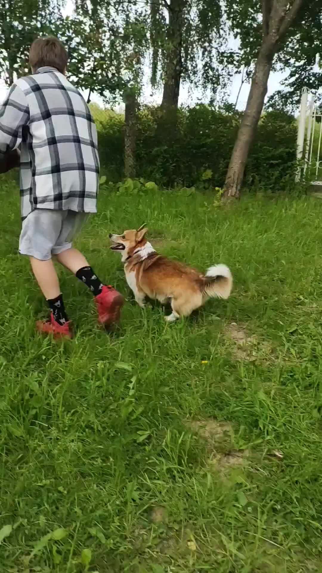 Корж Марти👑 | Невероятная обработка мяча от Марти🏀 | Дзен