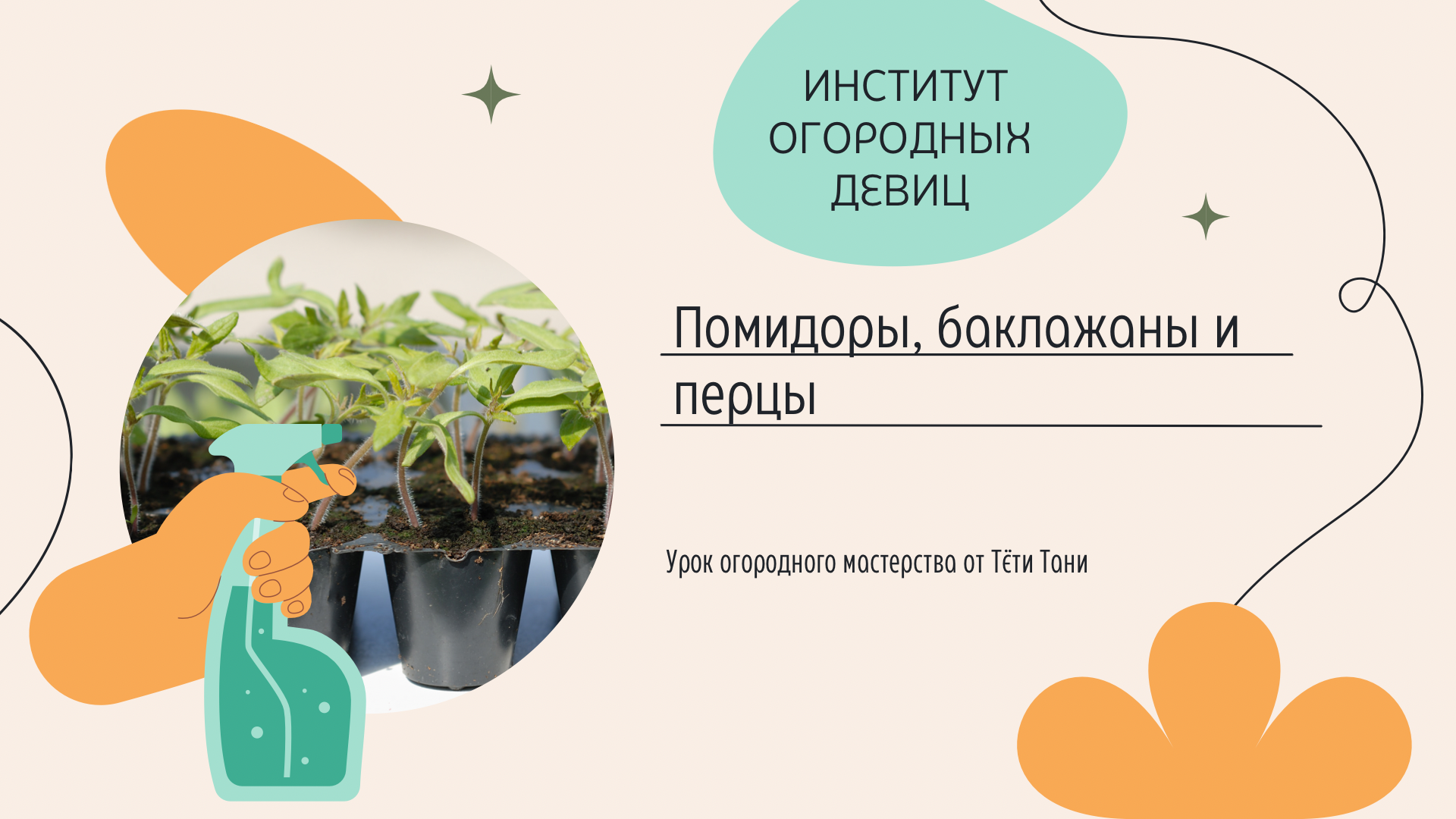 институт огородных тетя таня дзен