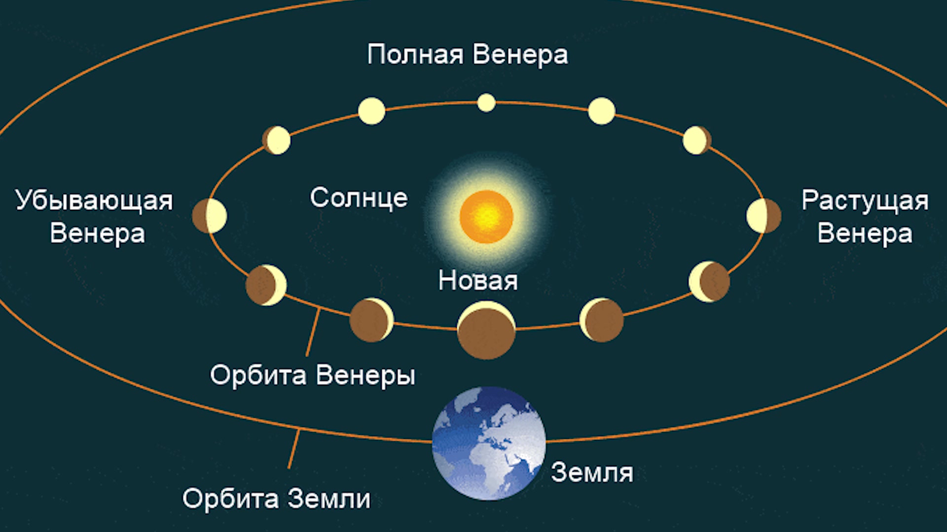 Луна на орбите венеры. Орбита Венеры относительно солнца и земли. Орбита Венеры вращение вокруг солнца. Орбита Меркурия вокруг солнца. Радиус орбиты Венеры вокруг солнца.