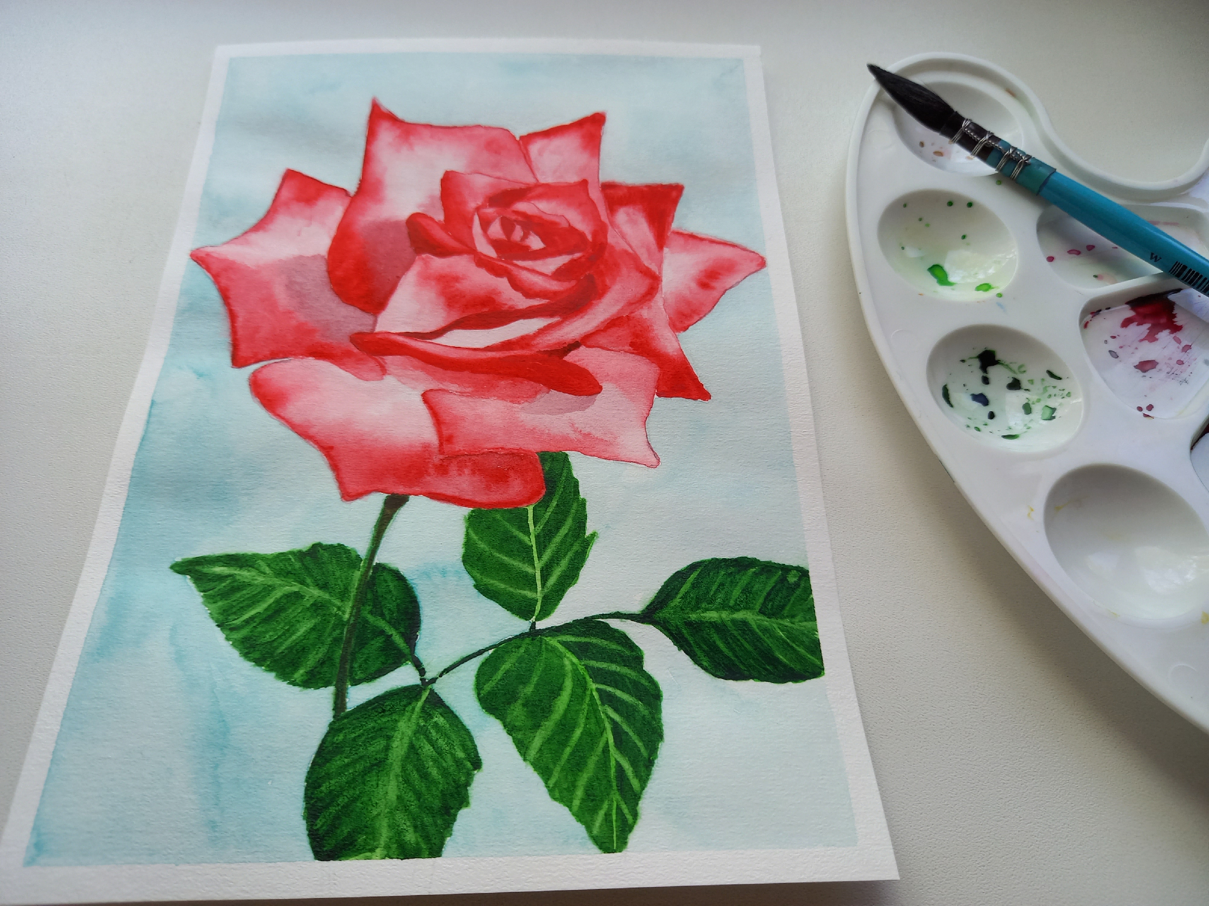 Розы акварелью 4к. Цветы для рисования акриловыми красками. Розы гуашью для начинающих. Розовые розы живопись акрил. Рисунок роза красками для детей.