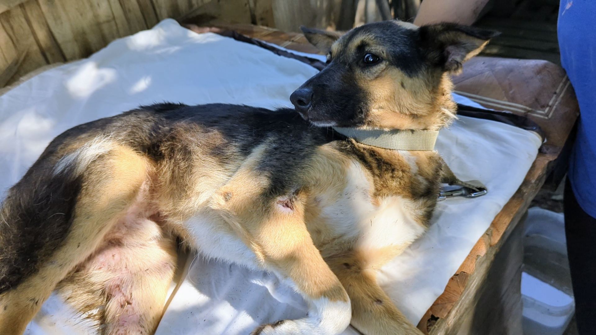 приют ковчег калининград видео сегодня. приют ковчег калининград видео сегодня. приют ковчег калининград видео сегодня. приют ковчег калининград видео сегодня. приют ковчег калининград видео сегодня.