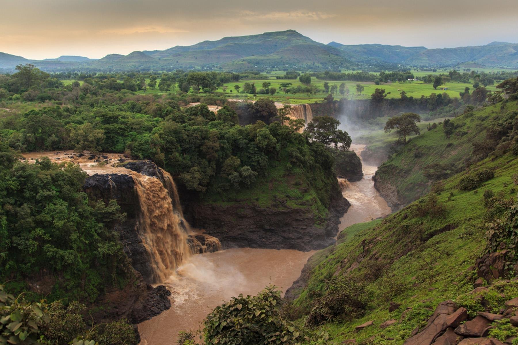 Бразильское плоскогорье реки. Парк Ентото эфиопияэ. Эфиопское Нагорье. Восточная Африка Эфиопия. Национальный парк Симен в Эфиопии.