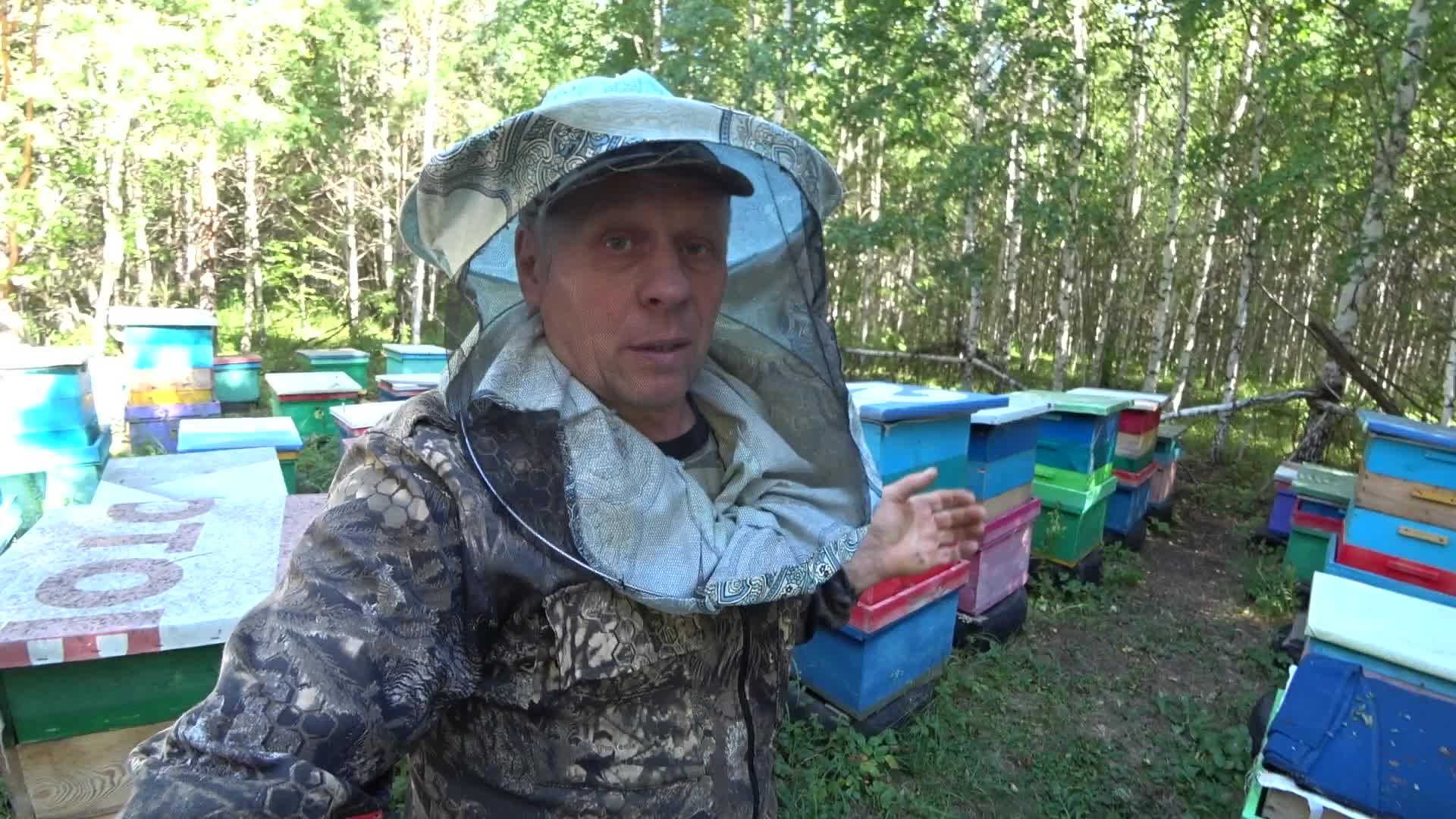 Пасека владимира рябухина