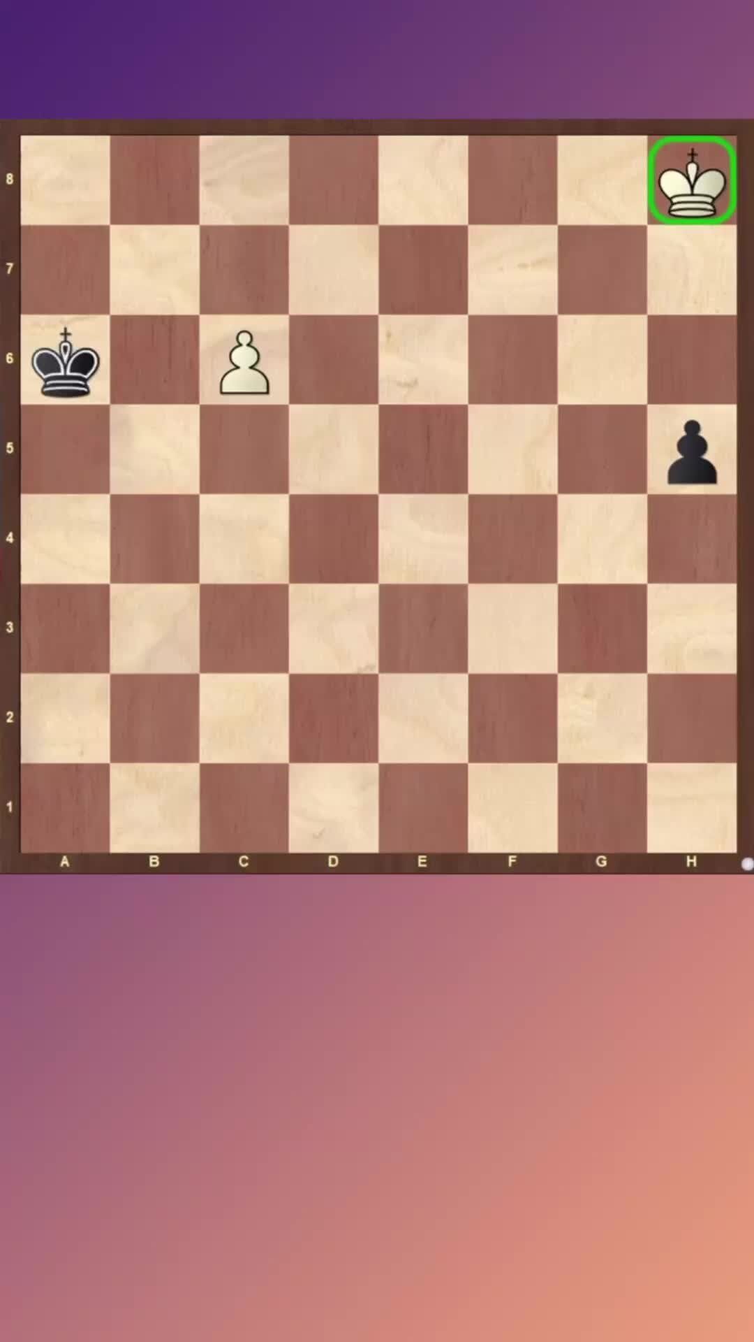 Chess samara