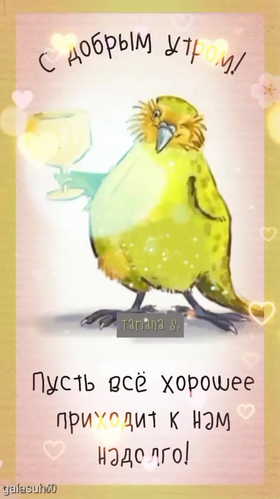 Прикольные открытки с добрым утром для поднятия настроения позитивные
