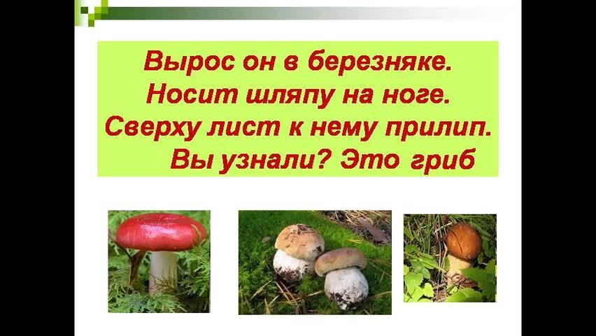 В царстве грибов - презентация для начальной школы