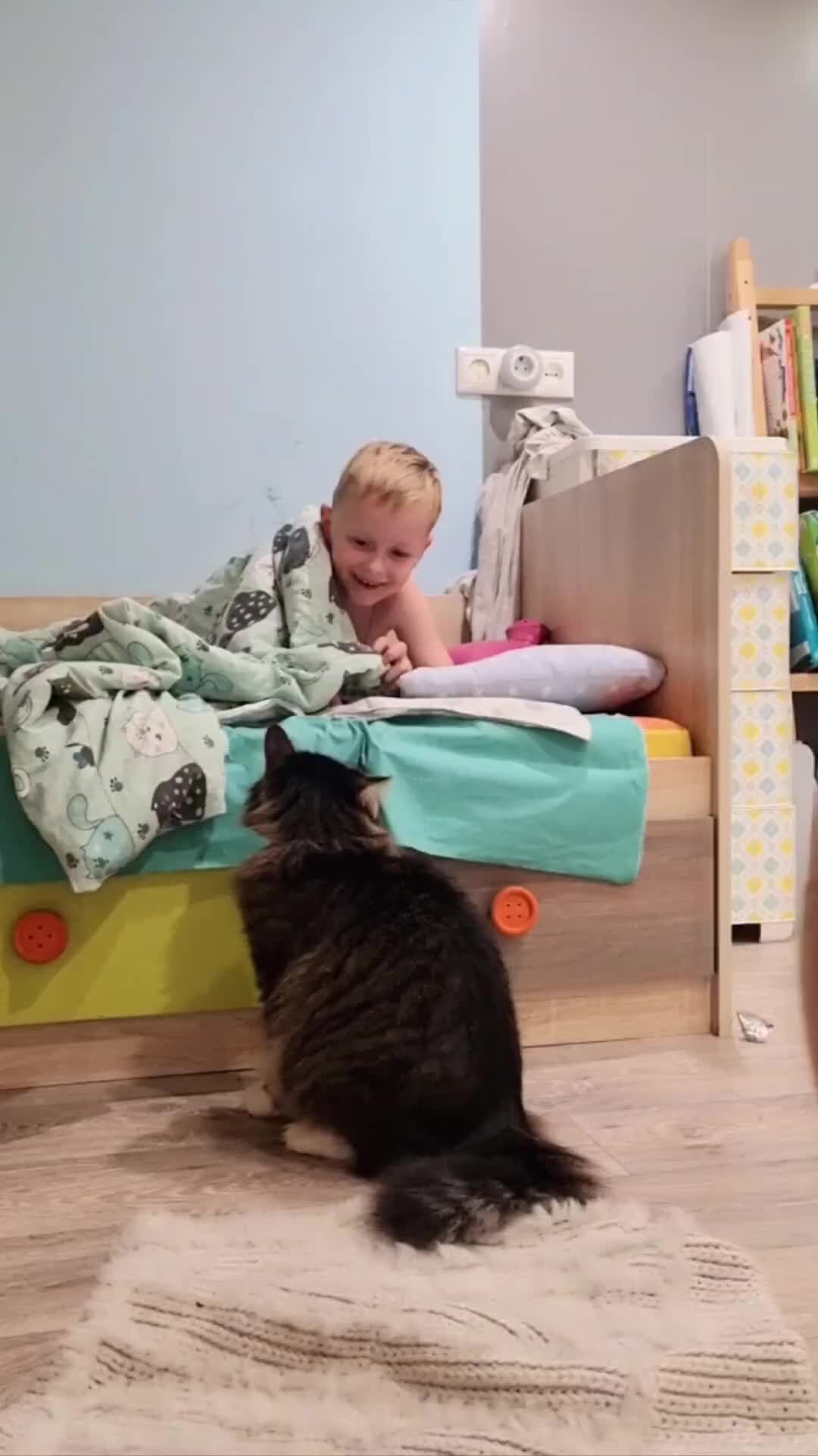 Кошка кидается на плачущего ребёнка