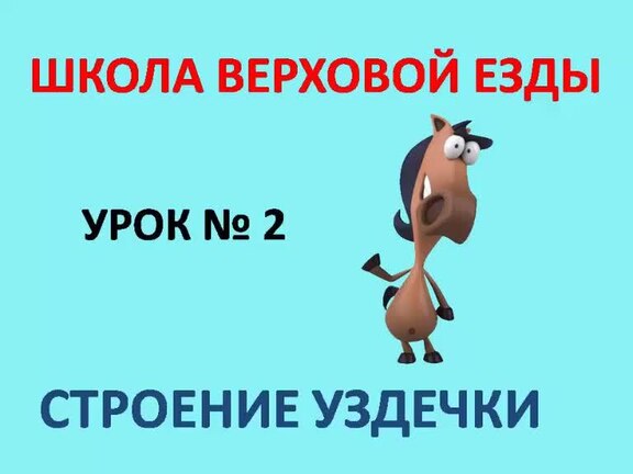 Как сделать уздечку для лошади своими руками » Сайт о лошадях showypersonality.ru (бывший коники ру)