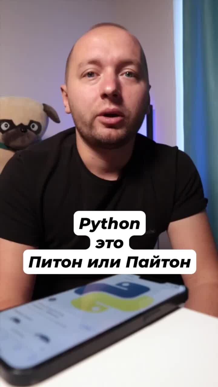 Инди АйТи | Python это Питон или Пайтон? Как правильно называть этот язык  программирования? #программирование | Дзен