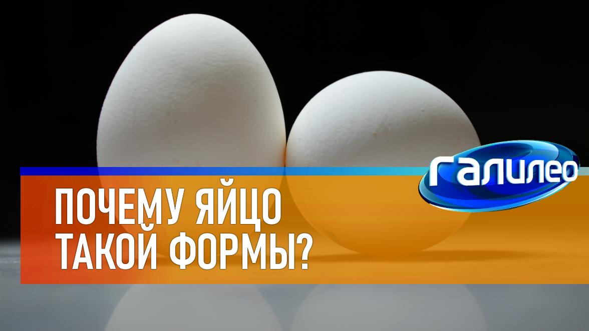 Почему яйцо такой формы