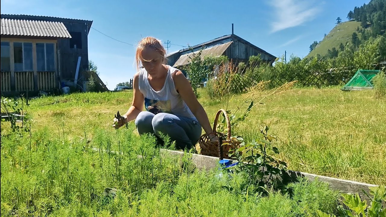 Ищу мужчину в деревне. Женя в деревне. Жила деревенька Женька. Ох село село. Kənd həyati | жизнь в деревне.