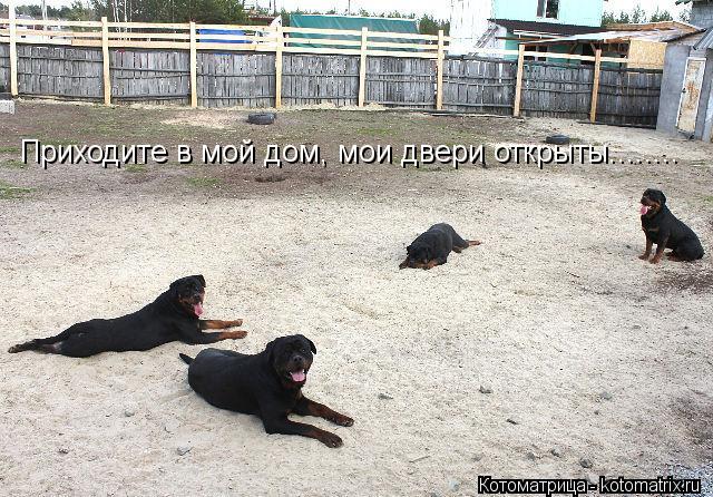 Круг приходи. Приходите в мой дом. Приходите в мой дом Мои двери открыты. Приходитетте в моей дом. Приходите в мой дом Мои двери открыты круг.