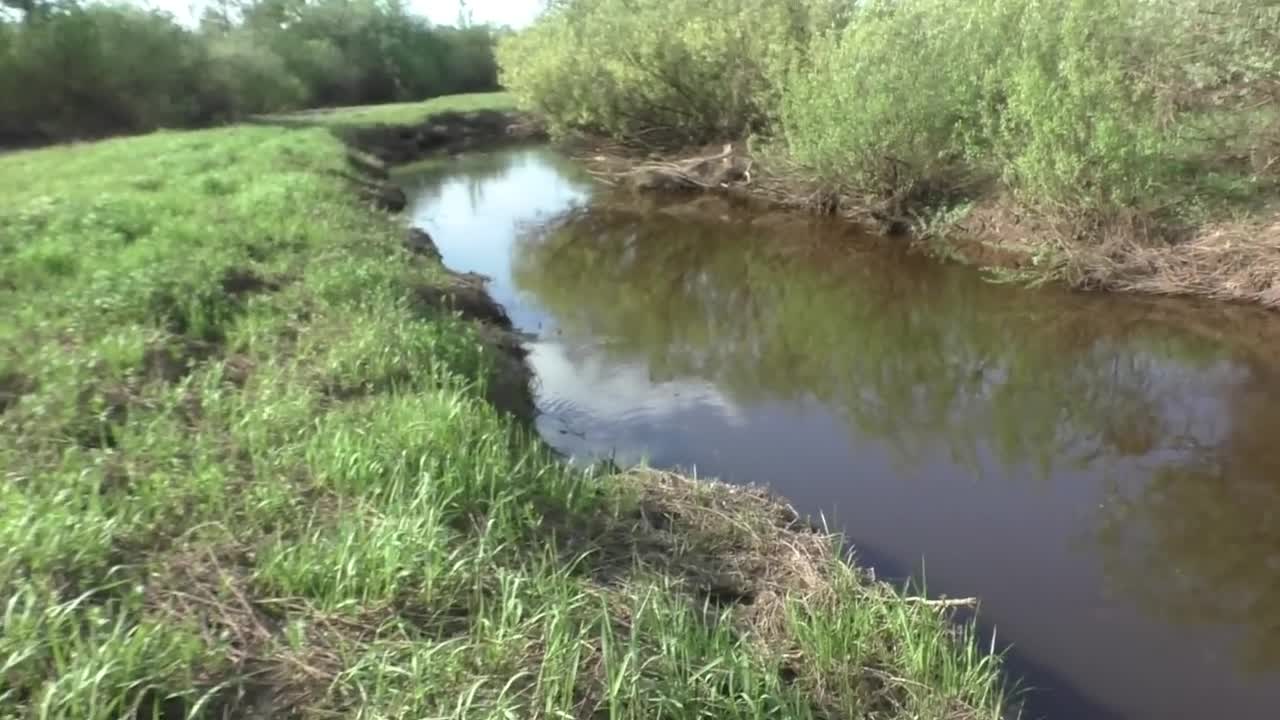 реко в полный рост. реко в полный рост. река полна. река полна. река полна.