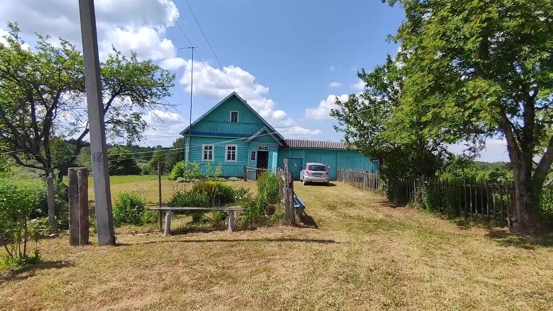 бурьян в деревне. деревня зашева. сельский домик. елкины в деревне дзен. елкины в деревне дзен.