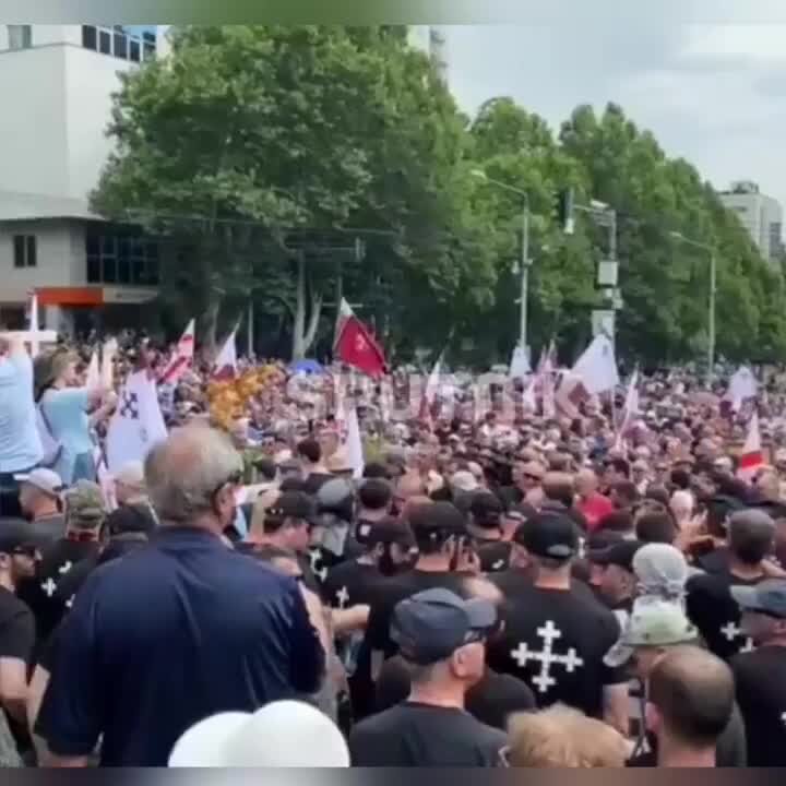 Сторонник традиционных ценностей. Протесты. Протесты в Грузии.