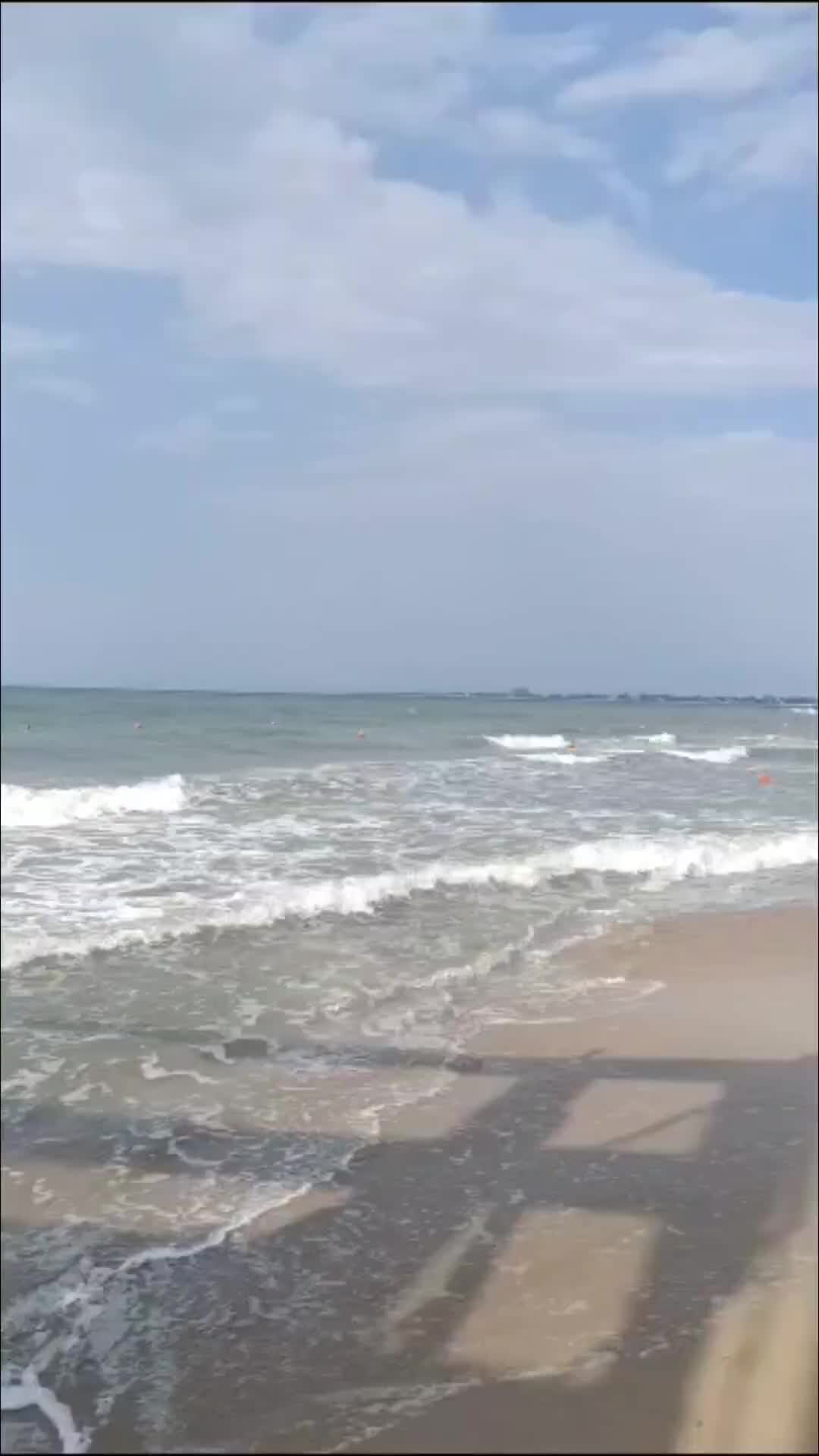 Погода евпатория вода. Евпатория море. Море в Евпатории сейчас. Медузы в Азовском море. Медуза на берегу моря.