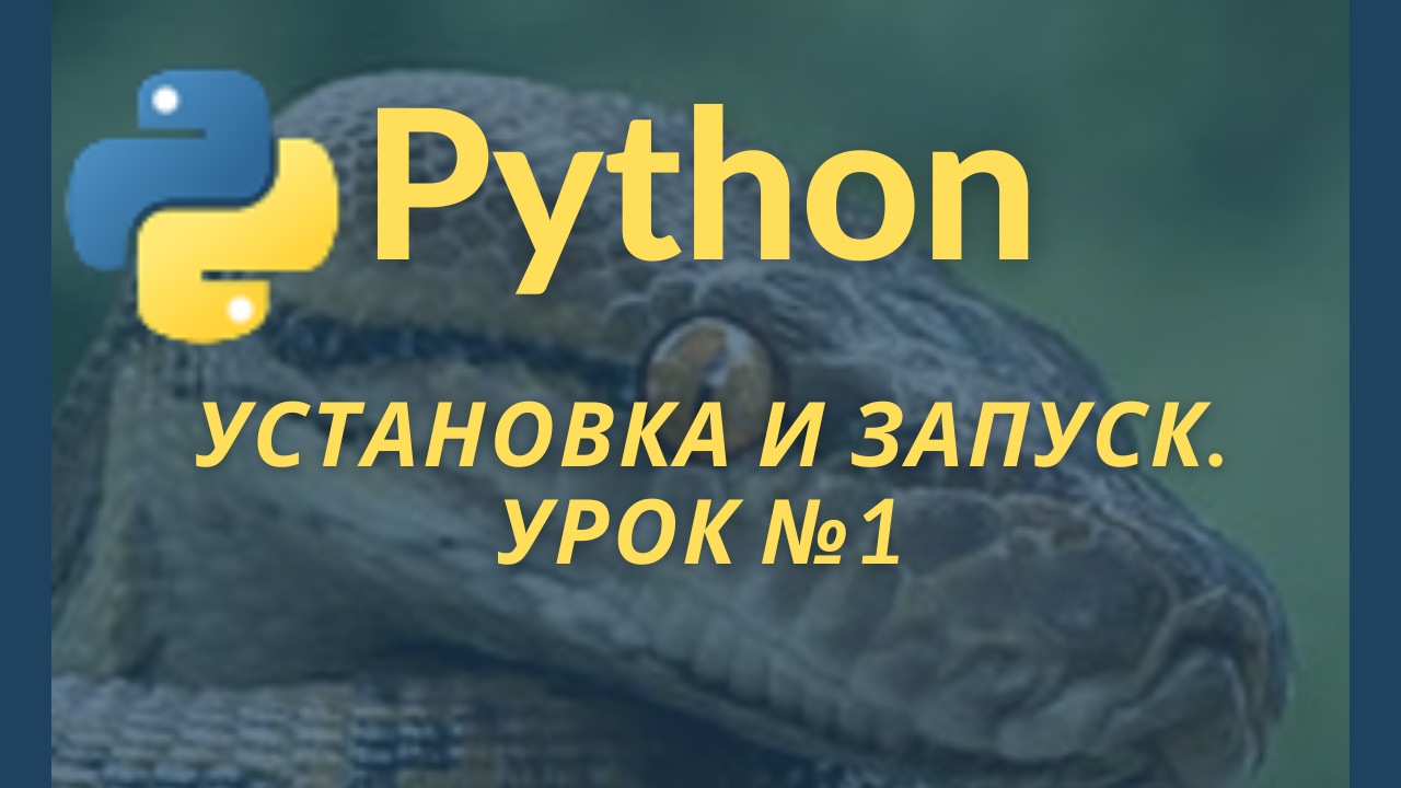 Python урок 1. Питон старт. Python уроки. Питон первый запуск. Уроки Пайтона с нуля.