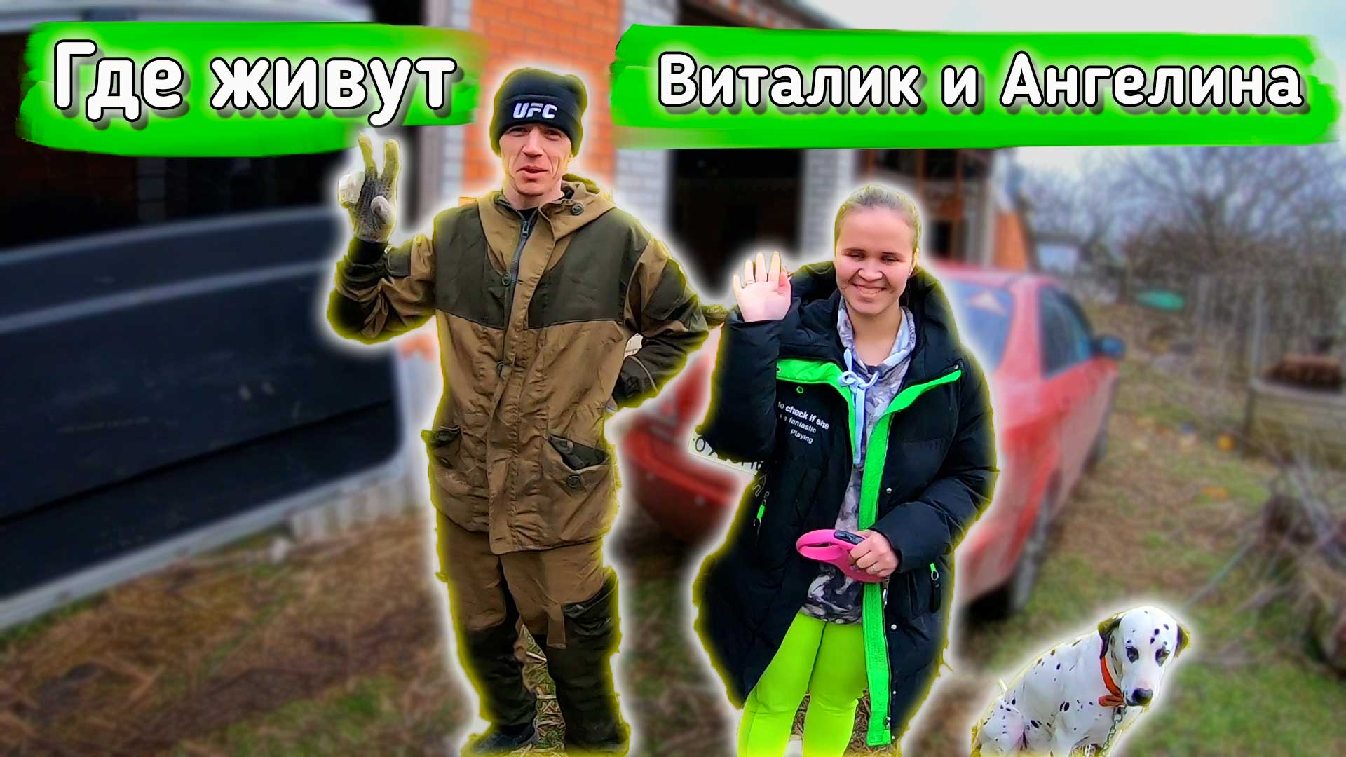 Сколько живут ангелины