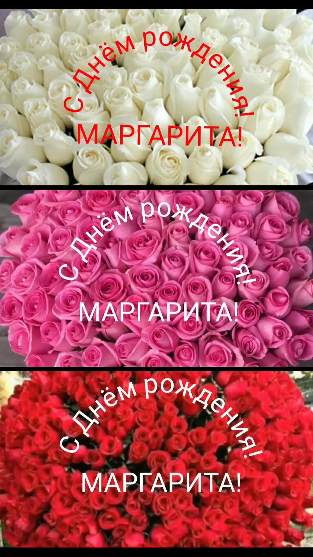С днем рождения маргарита открытки красивые