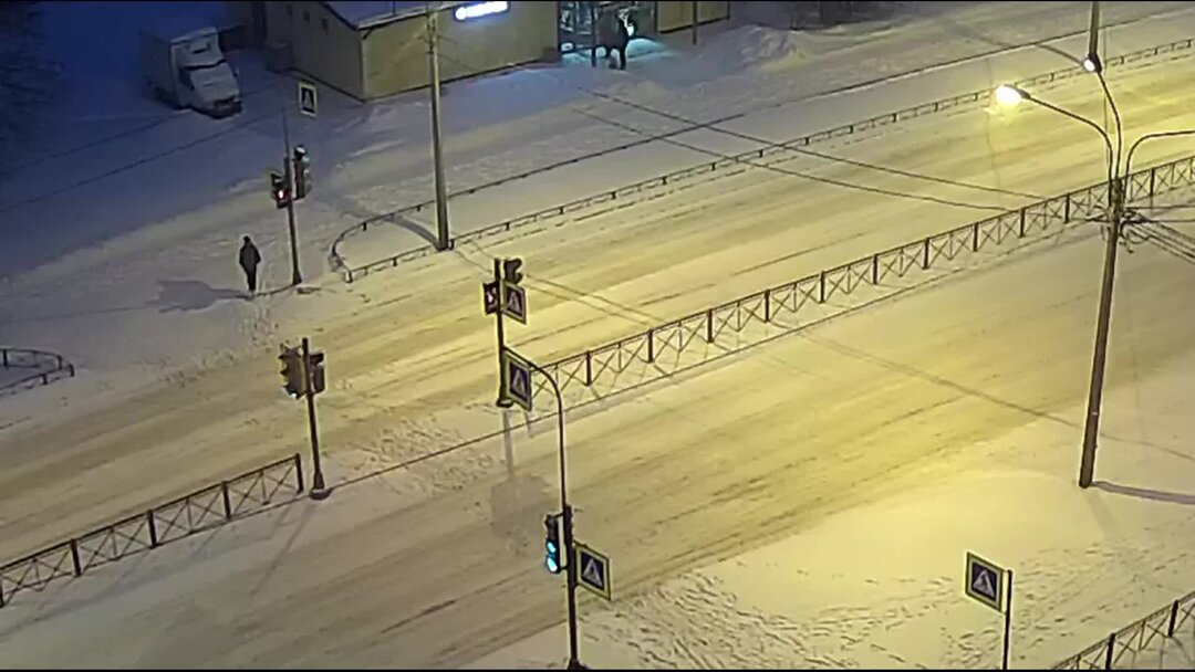 Как избежать аварии? |Комментарии ДТП | часть 15 - Собака перебегает на ...