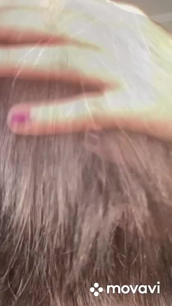 Как выбрать расческу для волос? При выборе расчески для волос обращают вни | Instagram