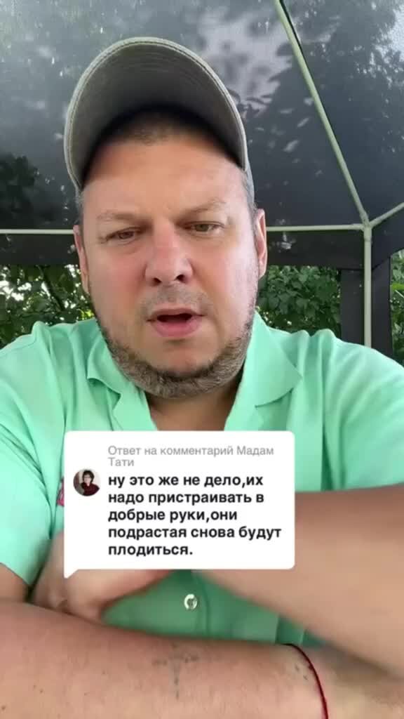 Дмитрий минский биография личная жизнь