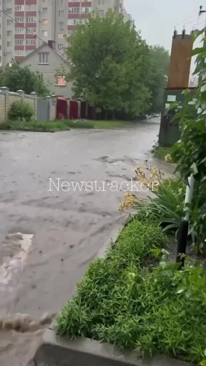 Добровольная улица. Союз чернобыль района бибирево. Ул лескова 23 москва. Элмо улица лескова 23. Добровольная улица.