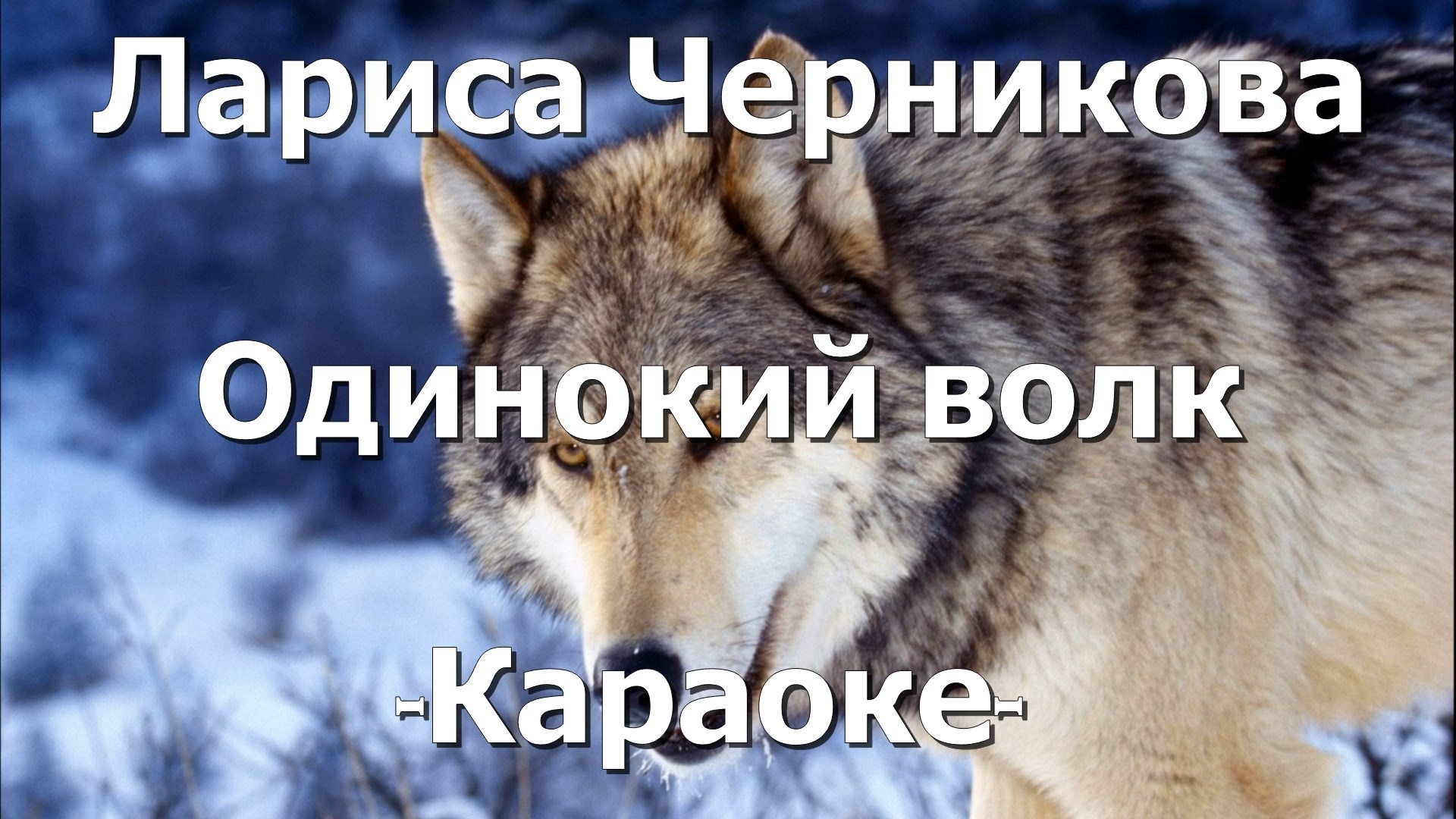 Караоке волк. Одинокий волк Армения. Лариса Черникова одинокий волк текст. Я хочу чтобы меня съел волк.