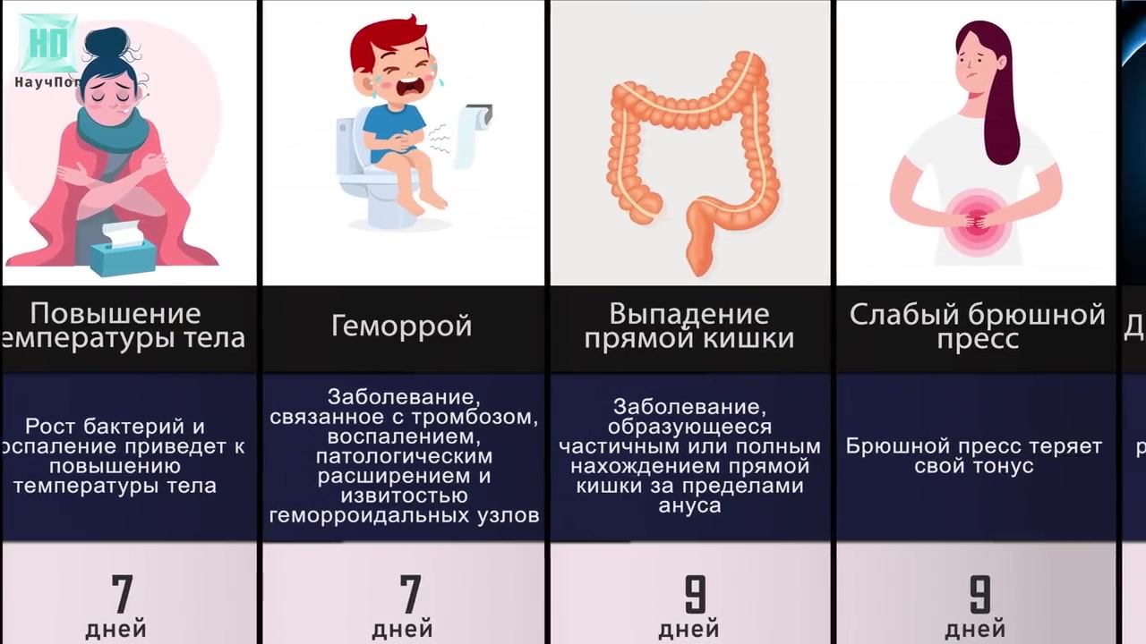 Кот какает в лоток. Почему долго не какаешь. Как сходить в туалет по большому. Как покакать если запор. Что если часто ходишь в туалет по маленькому.