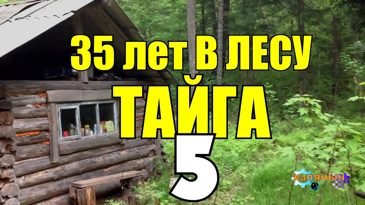 Тайга 35. КАЛЯНЫЧ 35 лет в тайге. 35 Лет в тайге 4 часть. 35 Лет в лесу Тайга 4 часть КАЛЯНЫЧ. Аудио рассказ 35 лет в тайге.