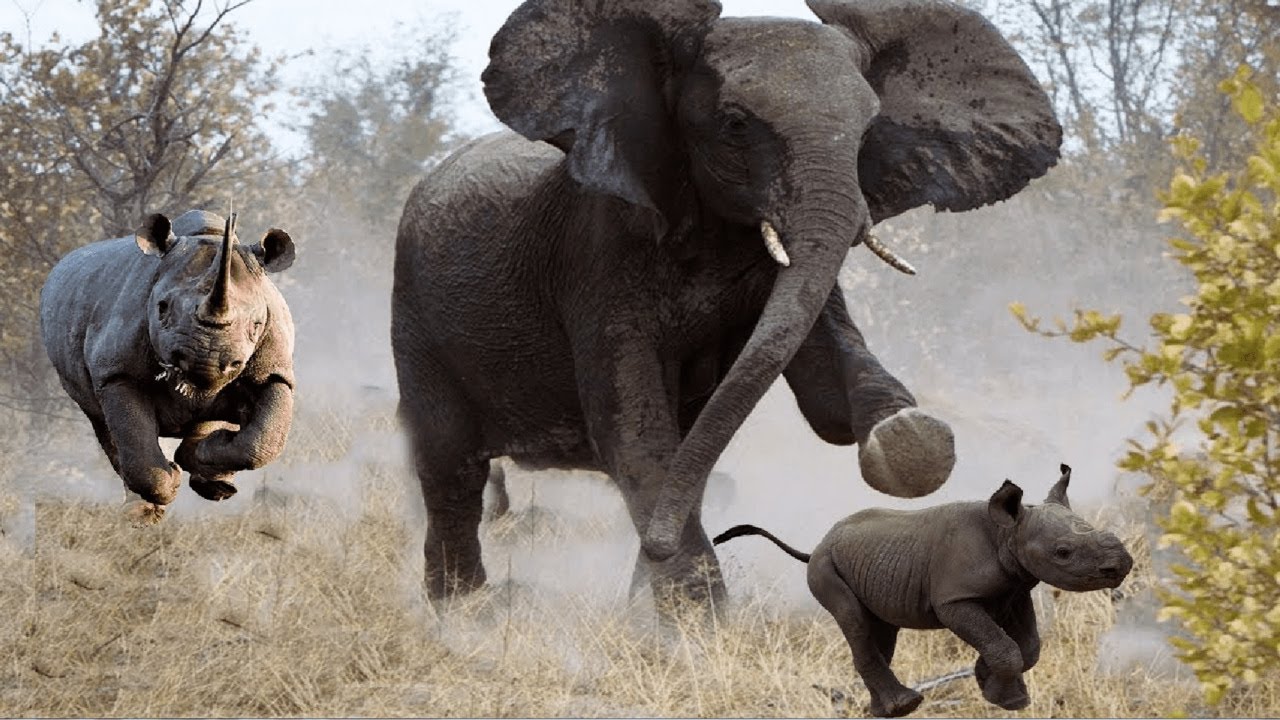 Подробности происшествия и его последствия