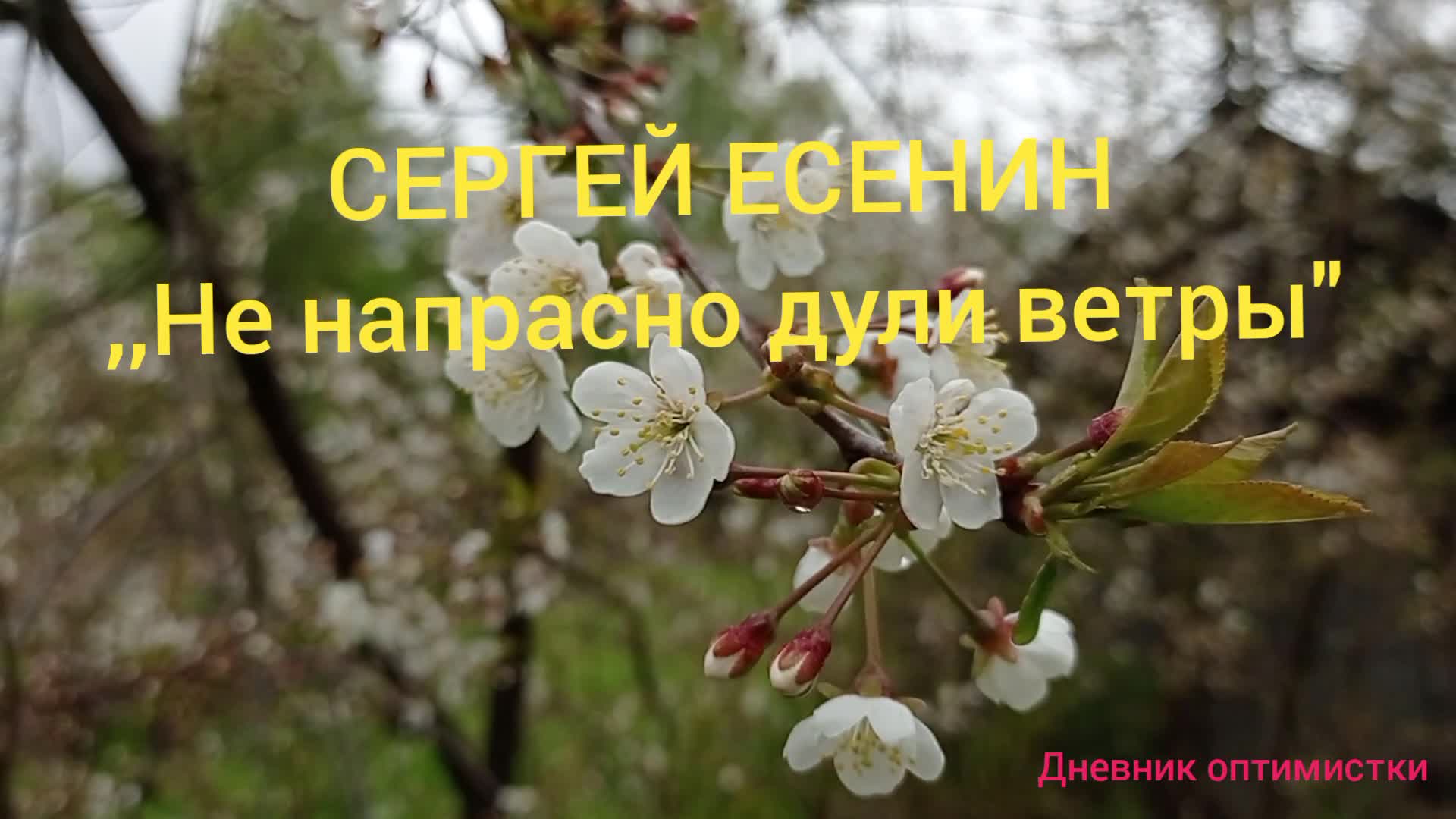 не напрасно дули ветры