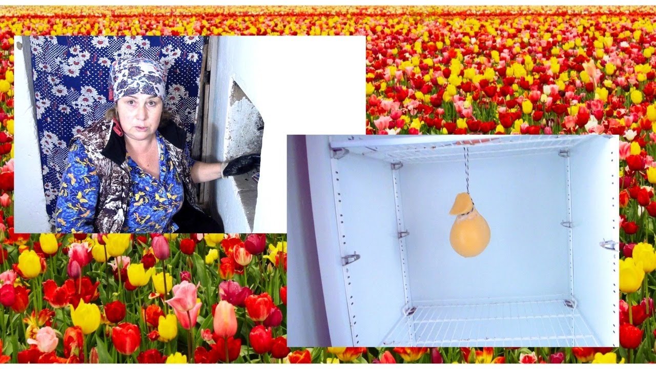 Жизнь казачки деревенская. Татьяна казачка блоггер. Татьяна казачка. Дневник казачки деревенская жизнь на хуторе. Таня казачка последнее.