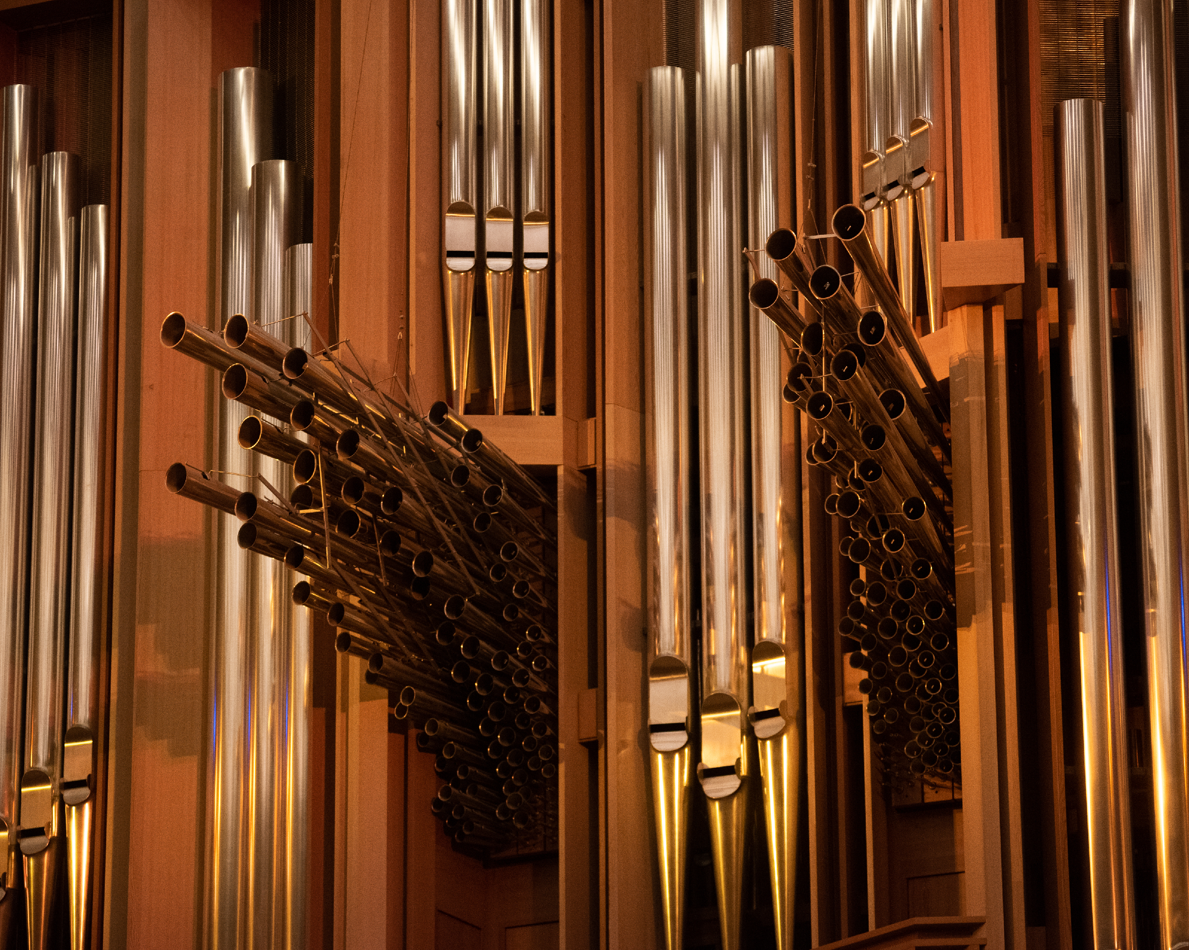 Звучание органа какое. Орган музыкальный инструмент. Самый большой орган в Европе. Органная музыка. Музыкальные инструменты 21 века.