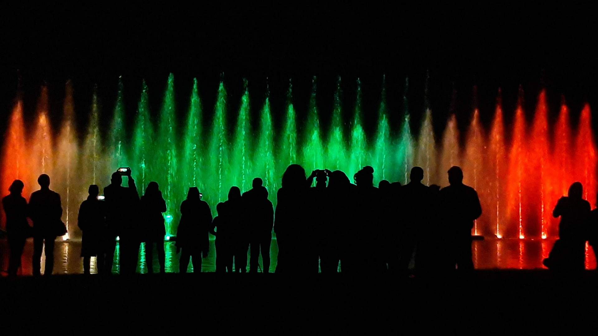 песни света ночью. фестиваль света в гатчине 2023. световое шоу в гатчине. фестиваль света в гатчине 2022. ночь света в гатчине.