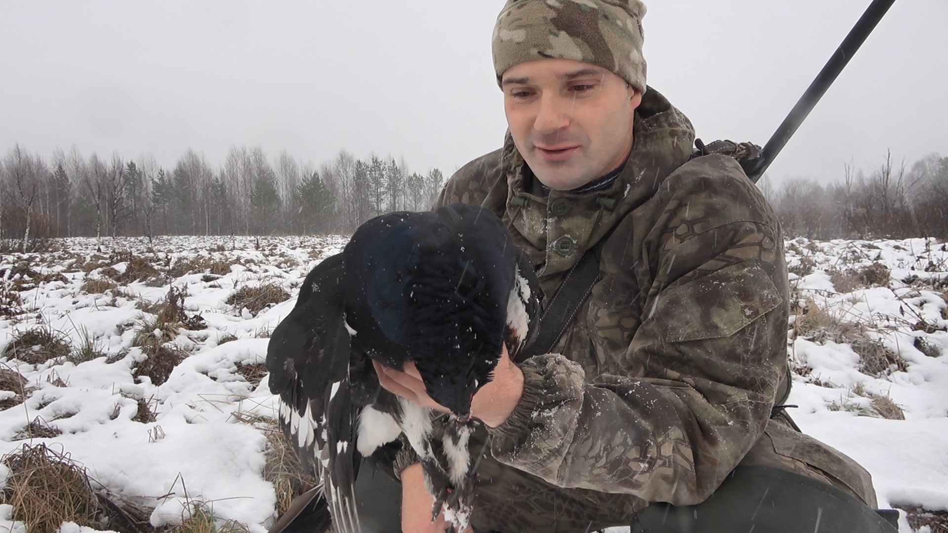 Охота на тетерева зимой с подхода. "тетерева". Охота на косача с мелкашки. Охота на тетерева зимой с подхода. Охота тетерев косач весной.