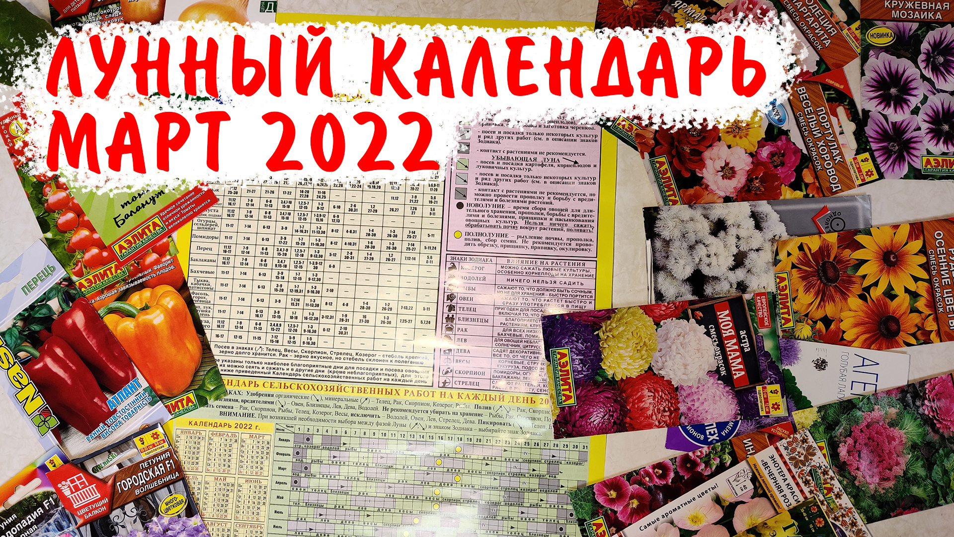 Лунный посевной на март 2024. Лунный посевной календарь на март 2022. Посевной календарь на август. Лунный календарь на март 2022. Лунный календарь огородника на МПРТ месяц 2023 г.