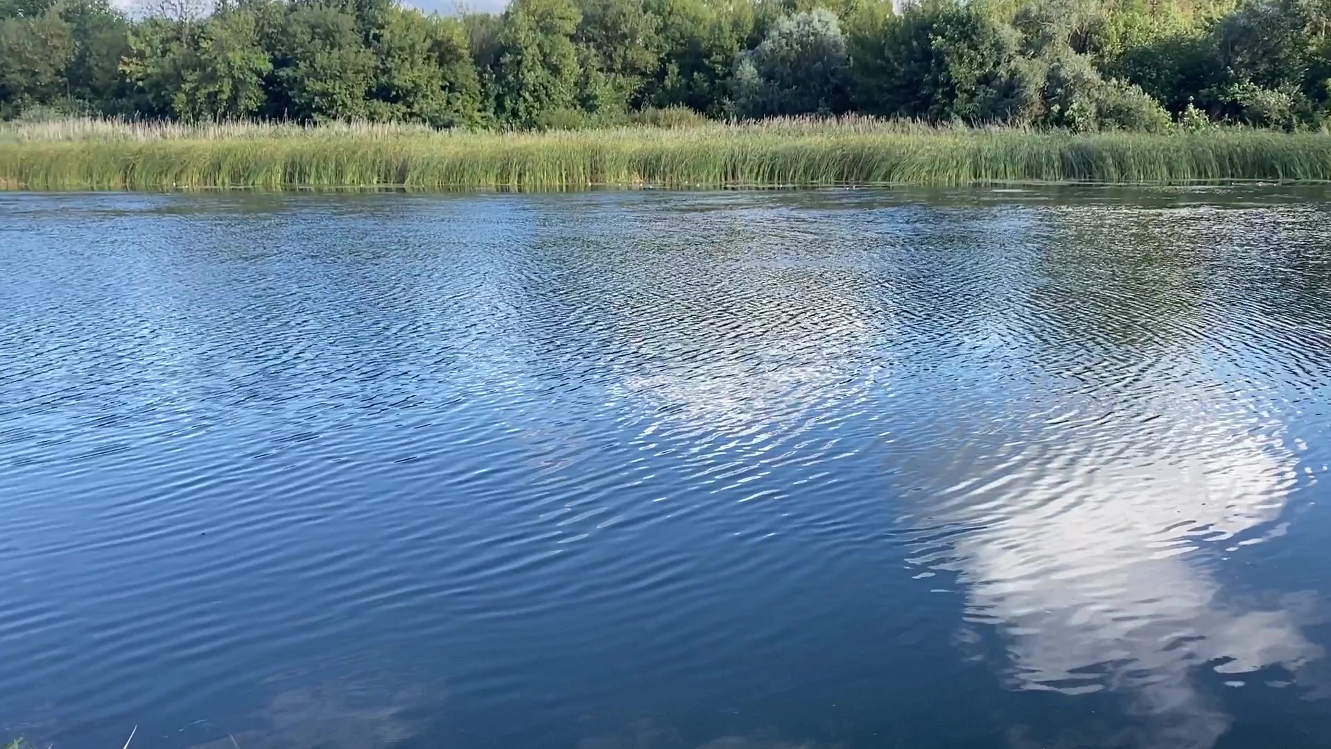 место впадения реки воронеж в дон