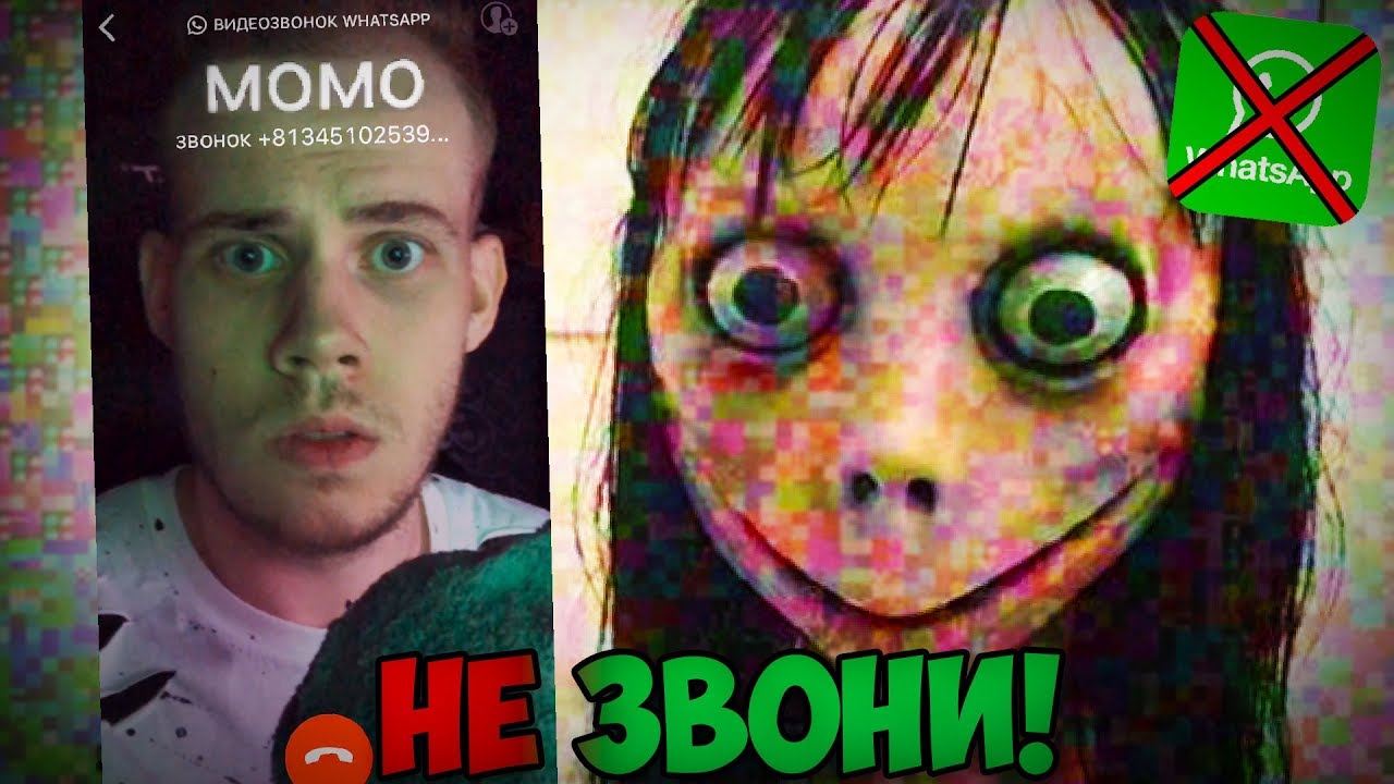 Номер mo mo. Настоящий номер Momo настоящий. Номер МОМО В ватсапе настоящий.