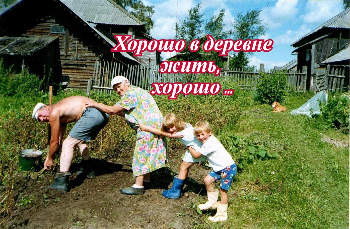 песня мы живем в деревне не скучаем. ноты для хора. песня мы живем в деревне не скучаем. четверостишье о родине. стихи про село родное.