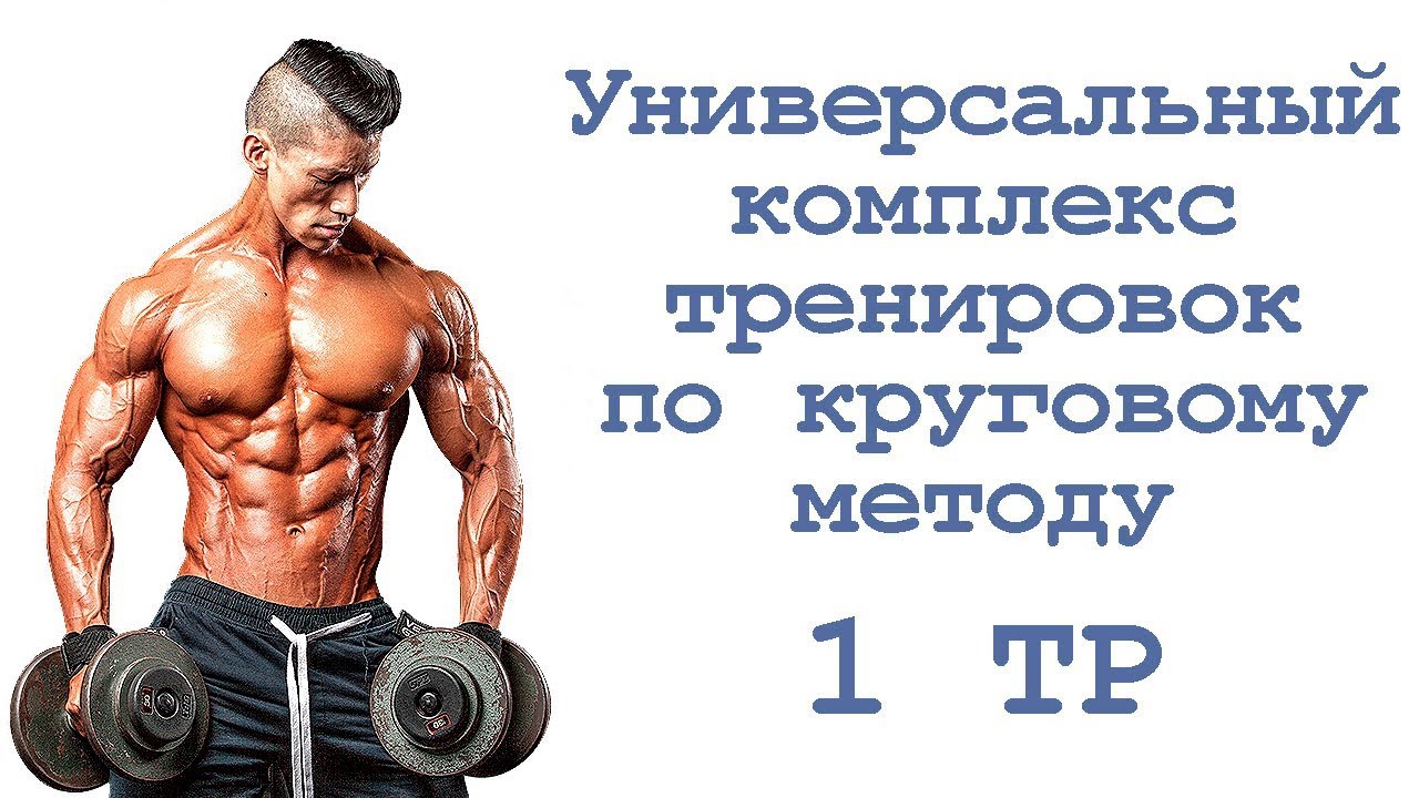 Комплекс тренировок 2 2. Тренировок на рельеф ног для мужчин. Универсальный тренер. Методика Новиковой тренировка ног для мужчин.