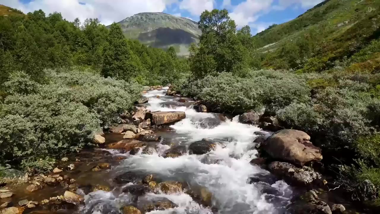 Звуки природы для релаксации. Flow — вода, а я река.