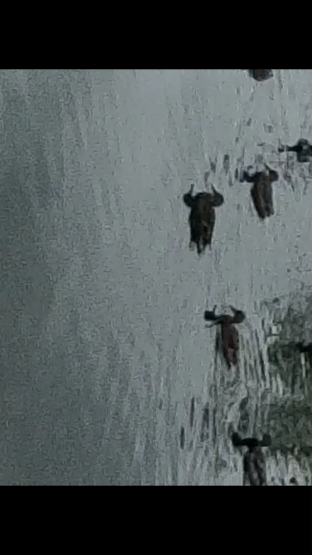 За каждый лайк + к карме. Мужик помни баба видет каждый твой лайк и комент на фото левых шкур. Каждый лайкнувший. Благодарю за лайк. Лайкнул.