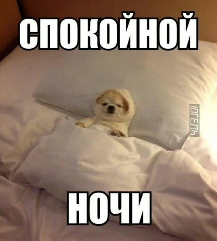 Спокойной ночи цитата