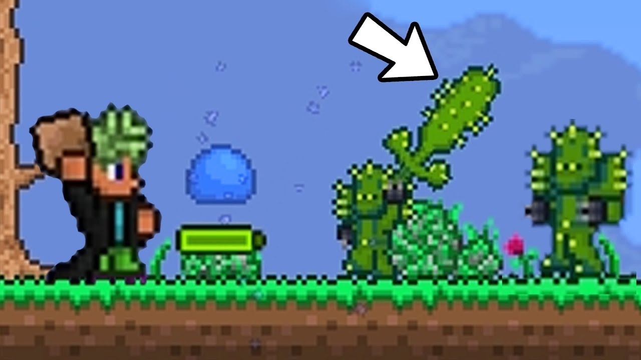 кактусовая броня. Terraria хлорофитовая броня. кактусовая броня террария. кактусовая броня майнкрафт. кактусовая броня террария.