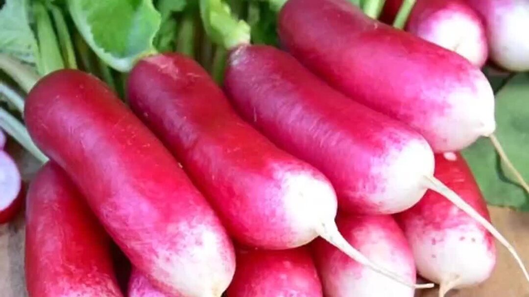 Светильник 5 урожаев ожз универсал. Светильник 5 урожаев ожз. Светильник три урожая ожз. Светильник 5 урожаев ожз. Урожай томатов дома.