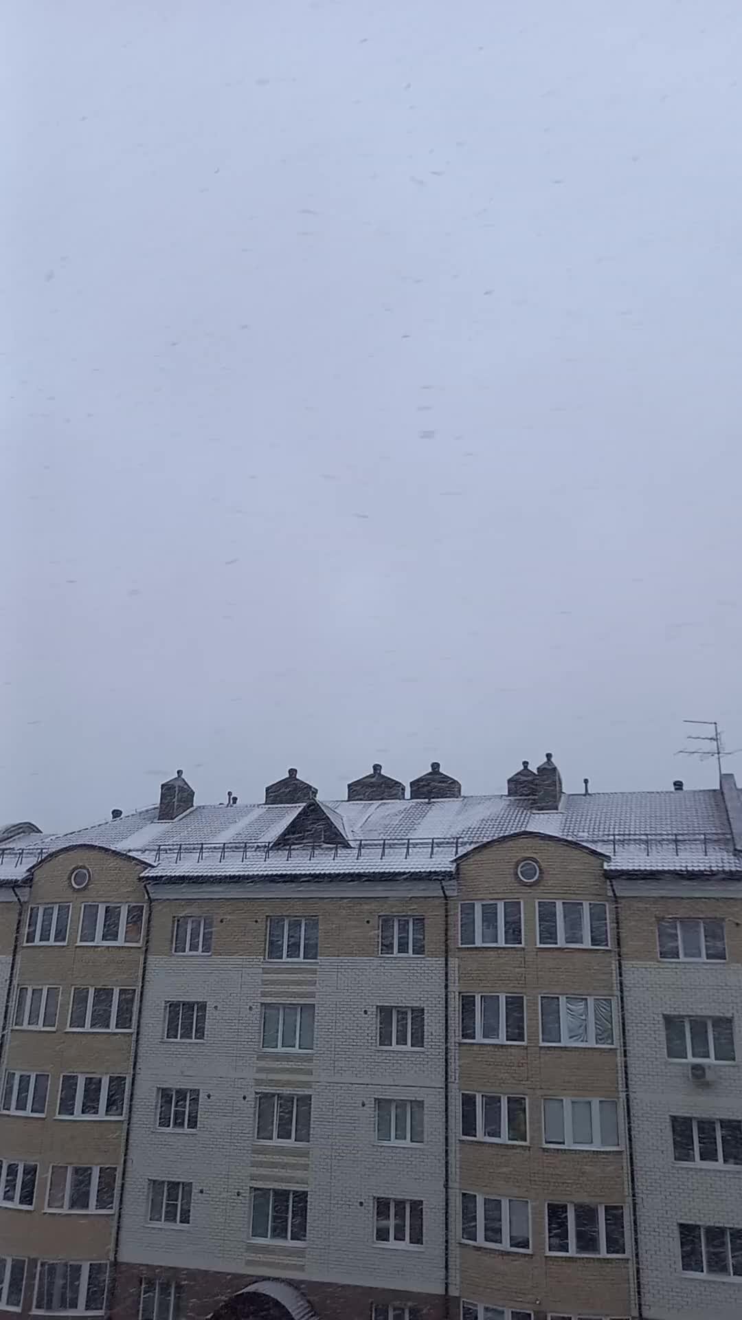 Фото и видео, Ведущий Наталья Зубкова, Новосибирск